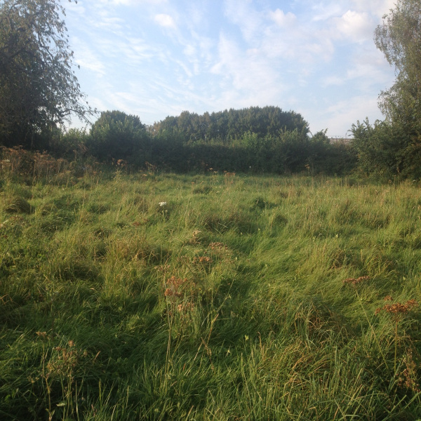 Offres de vente Terrain Amfroipret 59144