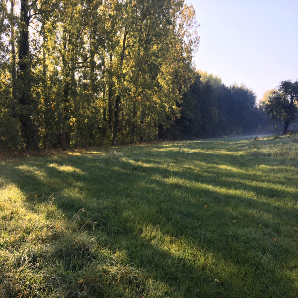 Offres de vente Terrain Sebourg 59990