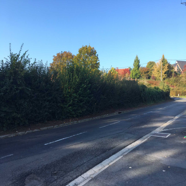 Offres de vente Terrain Sebourg 59990